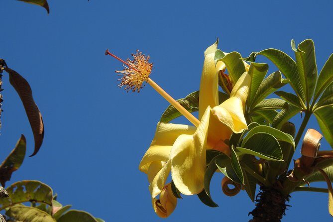 Walk the Darwin Botanic Gardens - Final Thoughts: Is This Tour Worth Your While?