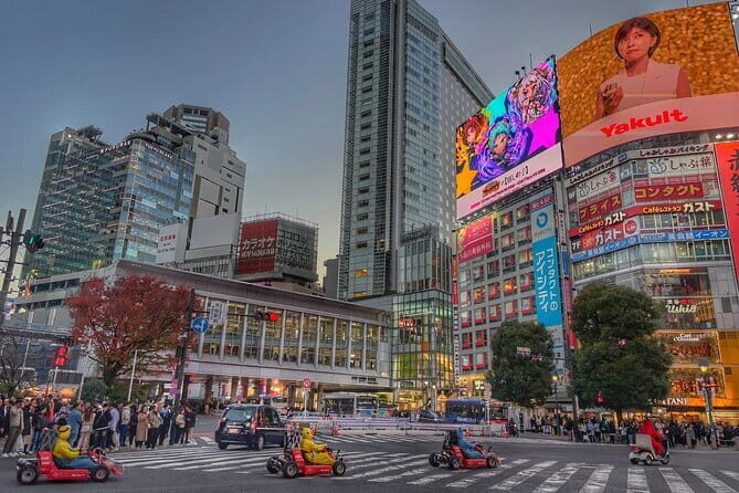 Walk Tokyo's Streets with Tokyo Midtown Tour - Who Would Benefit Most?