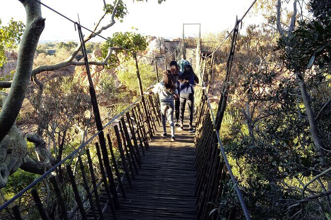 Walk with Elephants Experience plus Monkey Forest Walk - FAQ: Your Practical Questions Answered