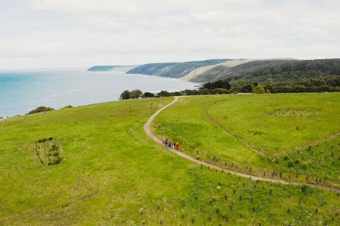 Walk with Wildlife: Guided Tour in Great Ocean Road - FAQ