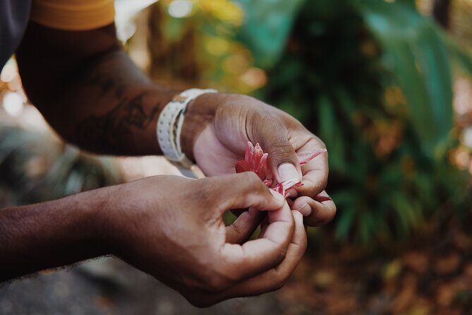 Walkabout Cultural Adventures - Ngana Julaymba Dungay Full Day - The Value of the Experience