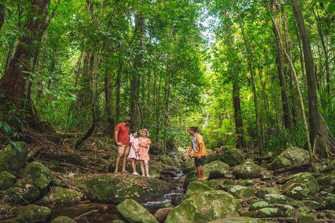 Walkabout Cultural Adventures - Ngana Julaymba Dungay Full Day - Authentic Experiences and Highlights