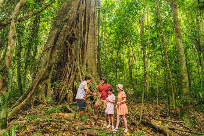 Walkabout Cultural Adventures - Ngana Julaymba Dungay Full Day - Who Should Consider This Tour?