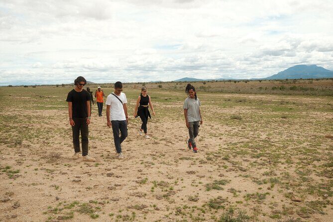 Walking Day Tour to Safari in Arusha National Park - Key Points