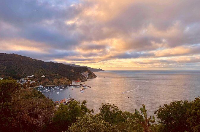 Walking History Tour on Catalina Island - The Sum Up