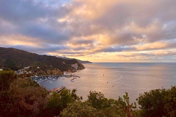Walking History Tour on Catalina Island - FAQ