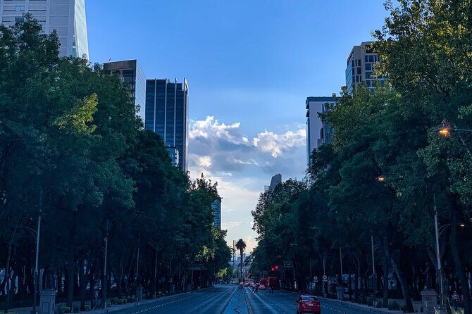 Walking Mexico City Tour with Anthropology Museum - FAQs