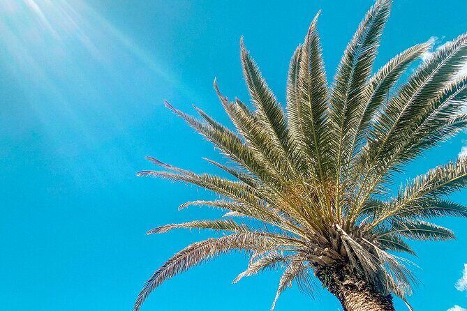 Walking Photography Tours of Mooloolaba and Alexandra Headland - Practicalities and Final Thoughts