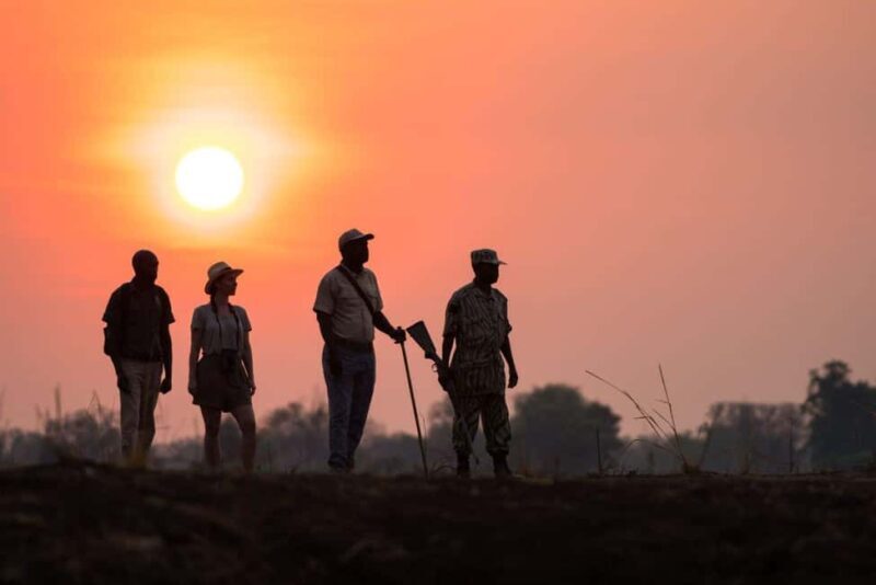 WALKING SAFARI - Pricing and Value Analysis