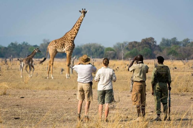Walking Safari Arusha National Park - What to Expect from Your Walking Safari in Arusha