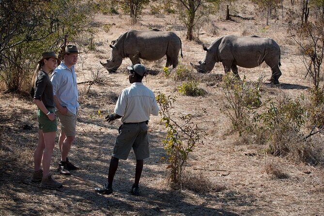 Walking Safari - An Introduction to the Experience