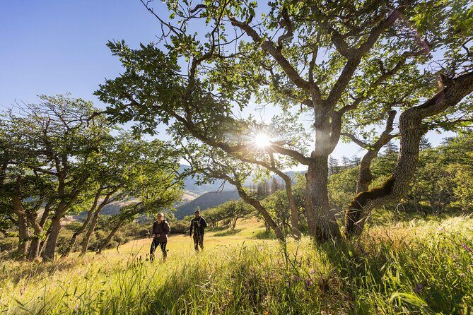 Walking safari & game drive Day trip in Arusha National park - What to Expect from Your Day in Arusha National Park