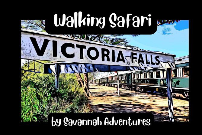 Walking Safari of Victoria Falls Town - Practicalities and Value