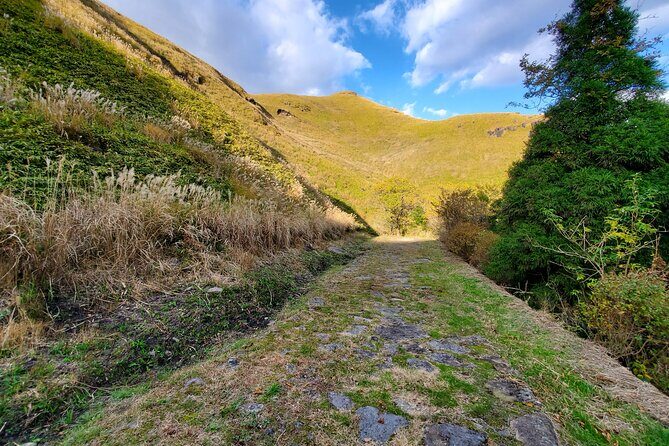 Walking through the Aso Caldera, Historical Walk along the "Bungo Kaido" - An In-Depth Look at the Tour Experience