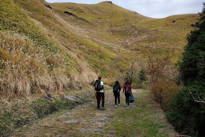 Walking through the Aso Caldera, Historical Walk along the "Bungo Kaido" - Authentic Perspectives from Travelers