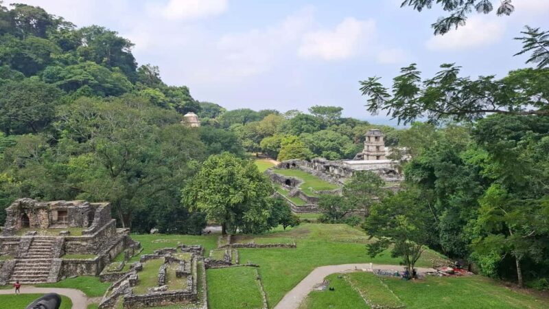 Walking tour in the archaeological site and jungle of Palenque - Introduction: What to Expect from the Palenque Walking Tour