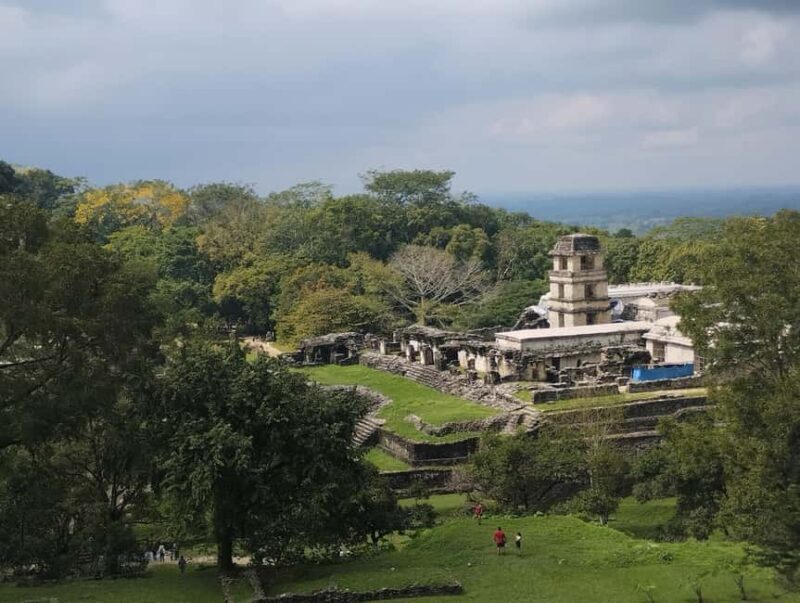 Walking tour in the archaeological site and jungle of Palenque - Deep Dive: The Itinerary Breakdown