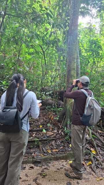 Walking tour in the archaeological site and jungle of Palenque - Practical Details and Tips