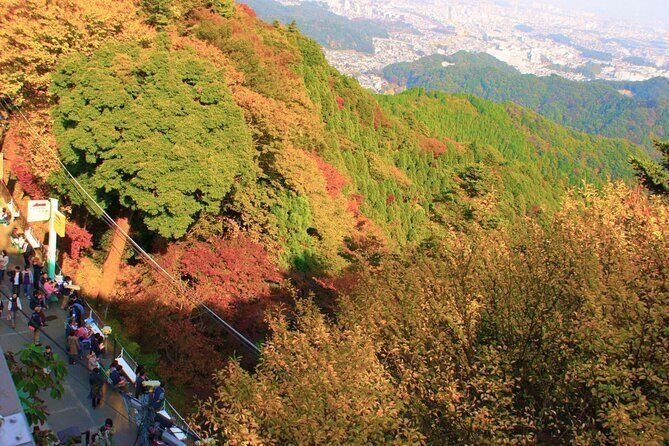 Walking Tour Mount Takao : Nature and Tradition in Tokyo - Who Should Consider This Tour?