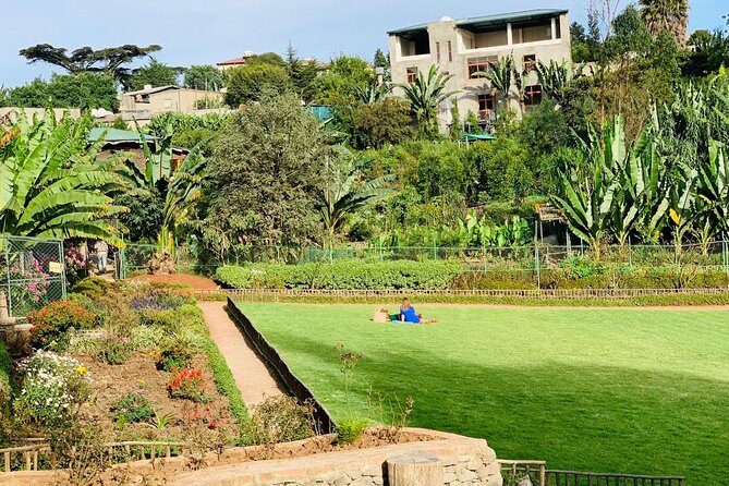 Walking Tour of Addis Abeba - Discover Addis the Authentic way - The Sum Up: Who Will Love This Tour?