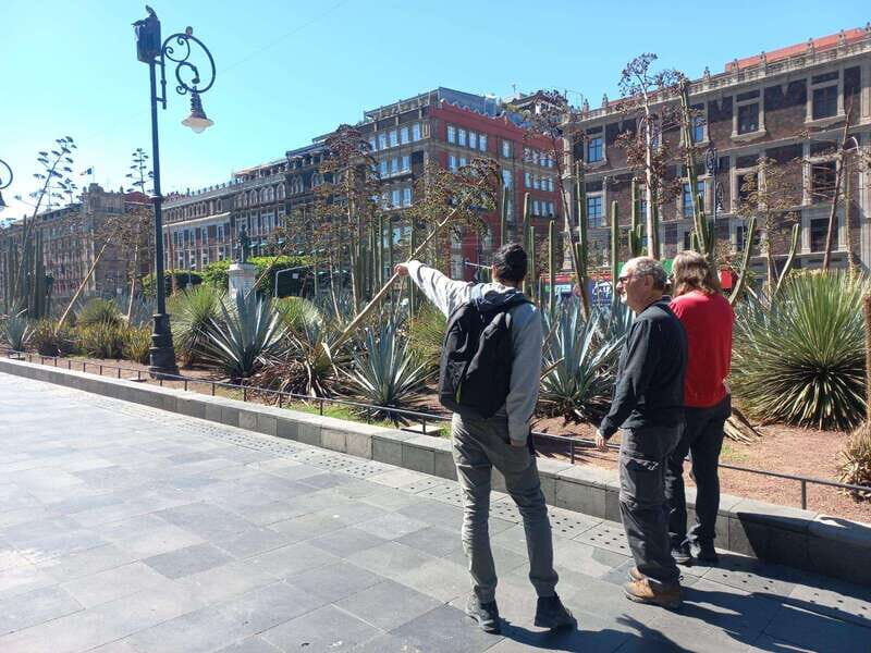 Walking Tour of Mexico City - Practical Tips for Participants