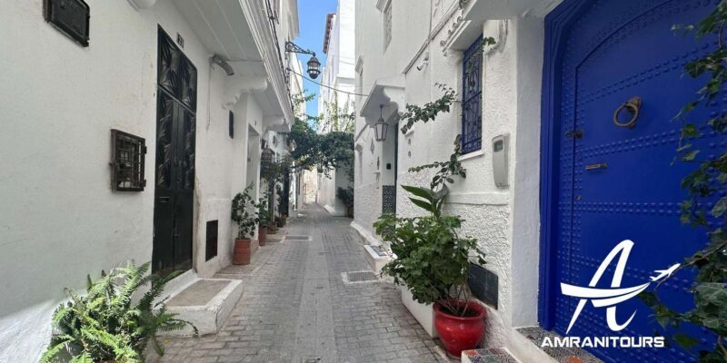 Walking Tour of Tangier including history & culture - Key Points