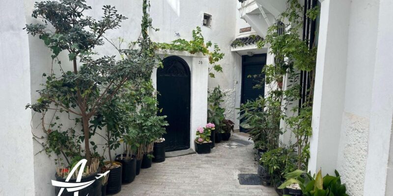 Walking Tour of Tangier including history & culture - Practical Tips