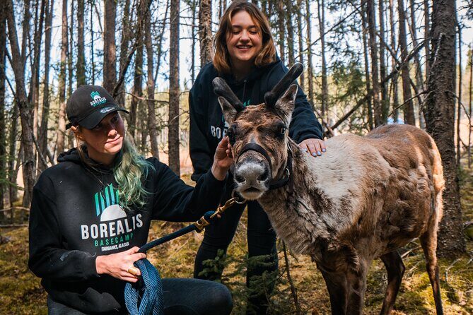 Walking with Reindeer Experience - Key Points
