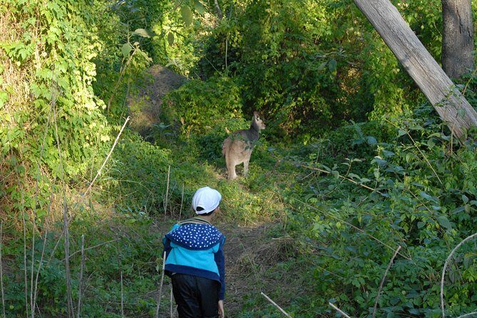 Walking with Wild Kangaroos Private Half-Day Trip from Sydney - Final Thoughts
