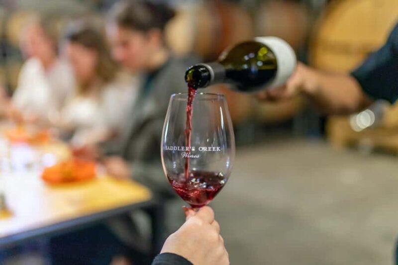 Wallabies and Wine Hunter Valley Adventure Private Tour - Detailed Breakdown of the Itinerary