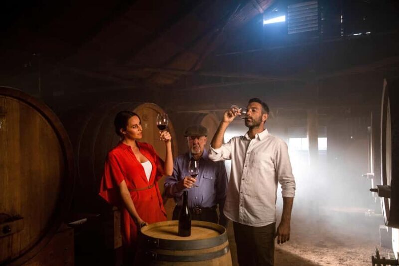 Wallabies and Wine Hunter Valley Adventure Private Tour - Who Is This Tour Best For?
