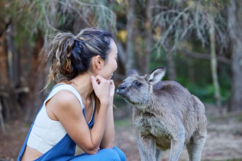 Wallabies and Wine Hunter Valley Adventure Private Tour - Final Thoughts