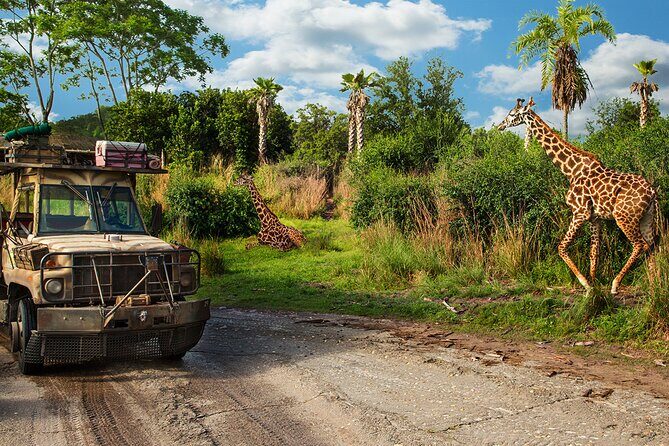 Walt Disney World Admission with Water Park and Sports Option - The Basics of the Ticket