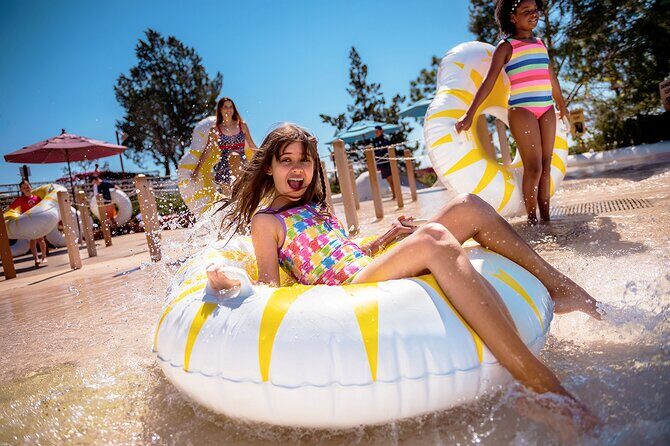 Walt Disney World Park Hopper Plus Tickets - Frequently Asked Questions (FAQs)
