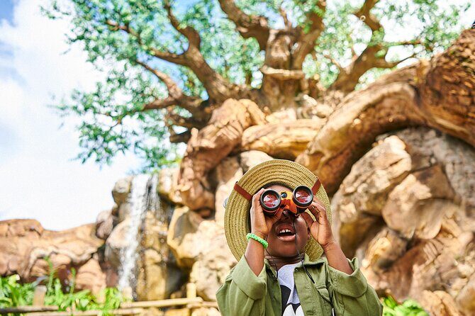 Walt Disney World Resort Base Ticket - Deep Dive into the Itinerary and Park Highlights