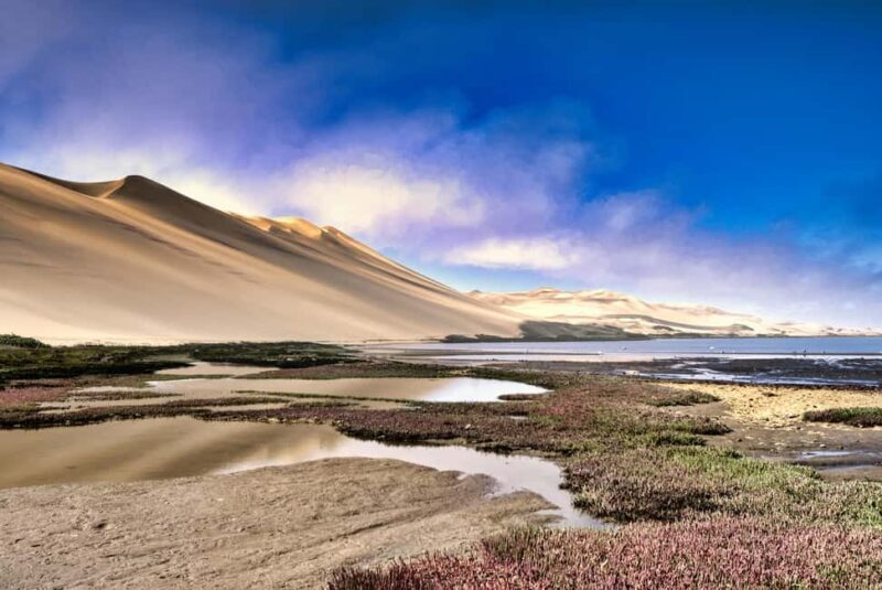 Walvis Bay: 5-Hour Sandwich Harbour Sunset Photography Tour - What’s Included and What’s Not?