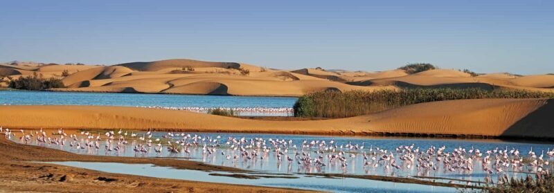 Walvis Bay and Sandwich Harbour Tour - FAQ