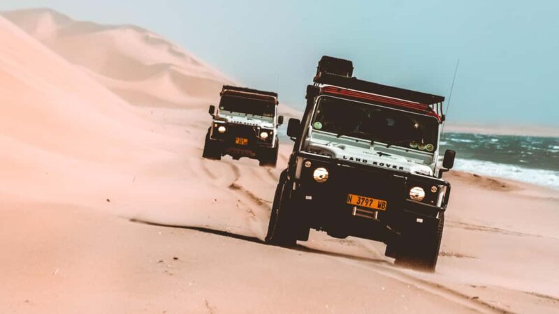 Walvis Bay: Dolphin Cruise, Pink Lakes and 4x4 Dune Drive - Practical Details and Logistics