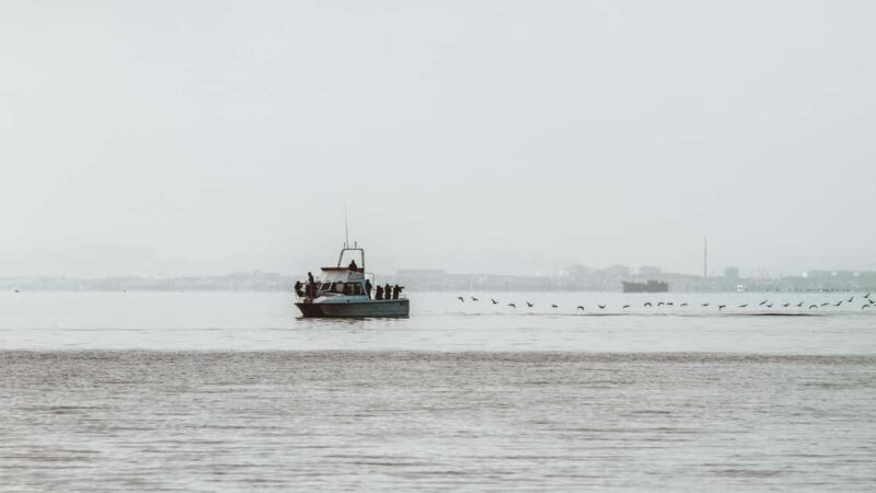Walvis Bay: Namibian Coast Dolphin Cruise with Light Lunch - What Is the Walvis Bay Dolphin Cruise?