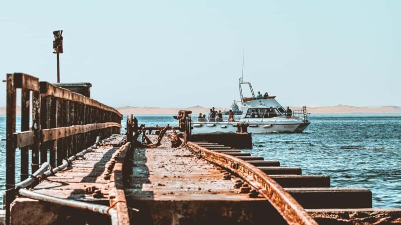 Walvis Bay: Namibian Coast Dolphin Cruise with Light Lunch - Is It Good Value?