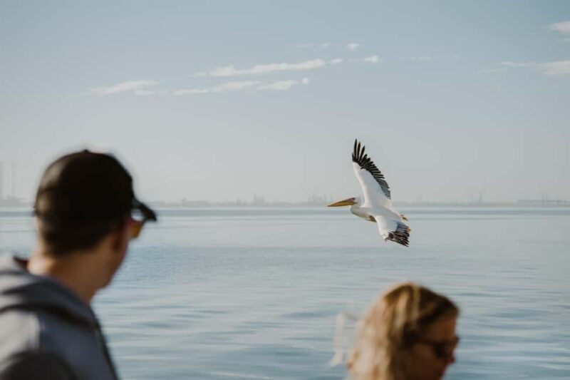 Walvis Bay: Sandwich Harbour 4x4 Trip with Beach BBQ Lunch - The Sum Up