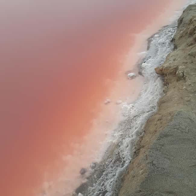 Walvis Bay: Scenic Sandwich Harbour Tour - Final thoughts: Who is this tour best for?