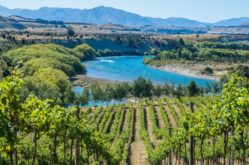 Wanaka: Afternoon Boutique Wine Tour - A Closer Look at the Wanaka Boutique Wine Tour