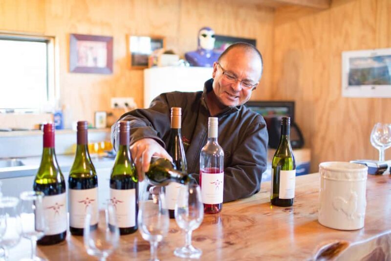 Wanaka: Full Day Classic Wine Tour with Lunch - An In-Depth Look at the Tour