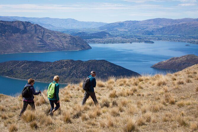 Wanaka High Country Walk - Who Will Love This Tour?