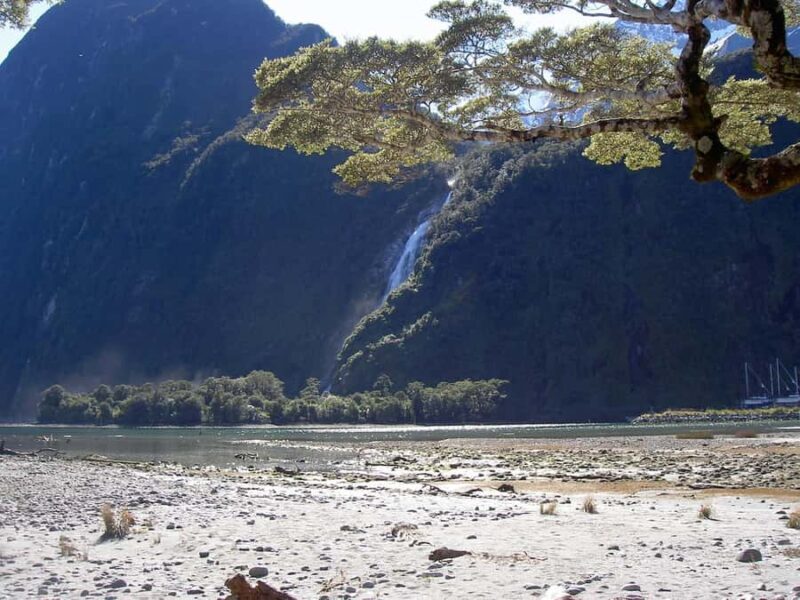 Wanaka: Milford Sound Scenic Helicopter Flight - What Travelers Say