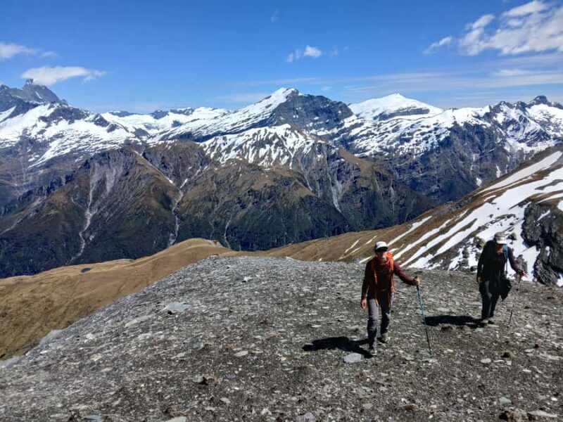 Wanaka: Private Alpine Heli-Hike - Key Points