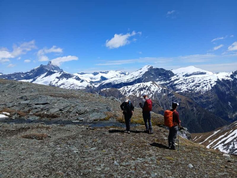 Wanaka: Private Alpine Heli-Hike - The Value and Experience