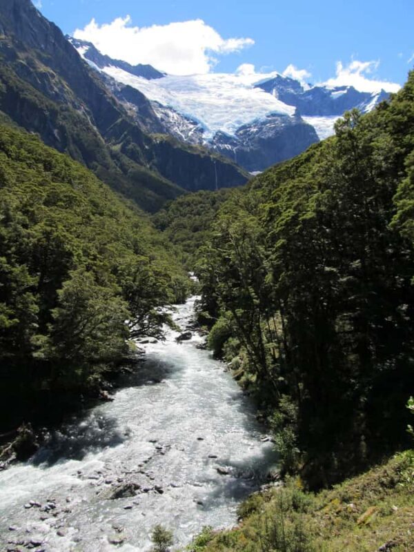 Wanaka: Rob Roy Glacier Guided Hike with Lunch - Who Should Consider This Tour?