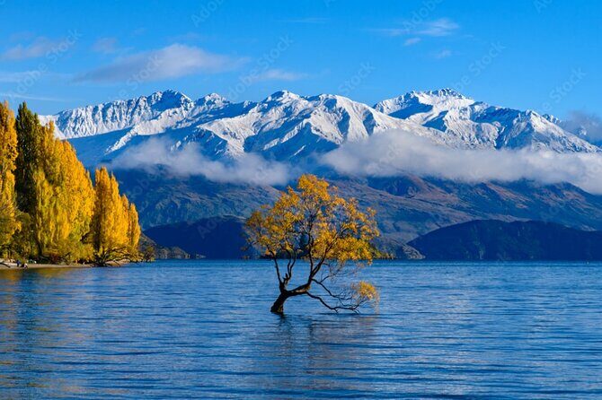 Wanaka to Franz Josef Small-Group Tour (One Way) Includes Lunch - What Travelers Say